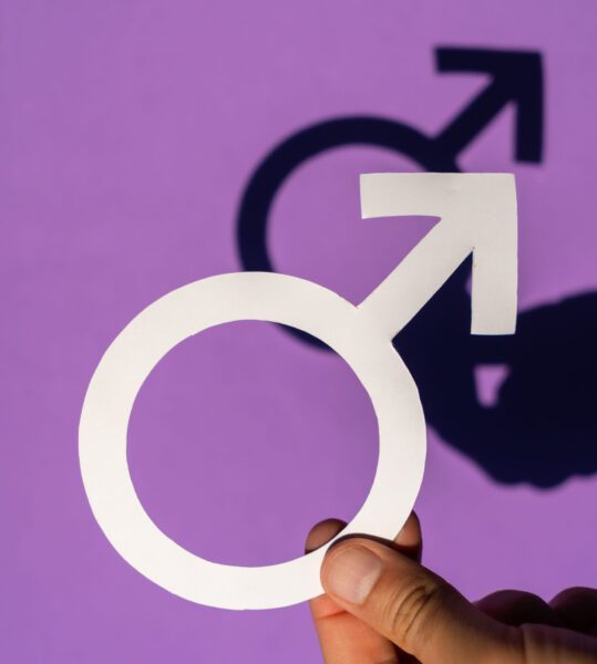 Cirugía Masculinizante 2 Faloplastia, Cirugía de cambio de género